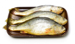 小黄鱼爆料新闻最新消息,最新热点事件深度解析